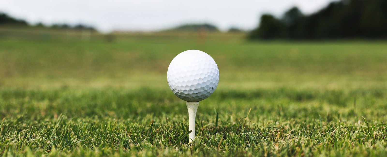 Garden Route golf courses